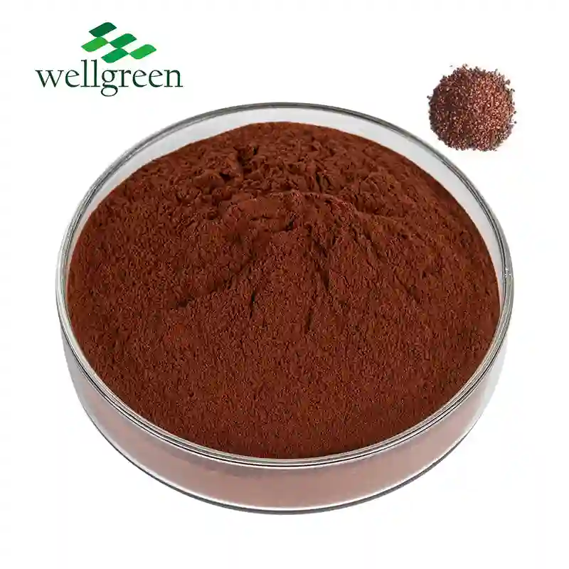 grape seed extract.webp